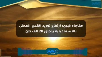 مفاجأة كبرى: ارتفاع توريد القمح المحلي بالإسماعيلية يتجاوز 20 ألف طن